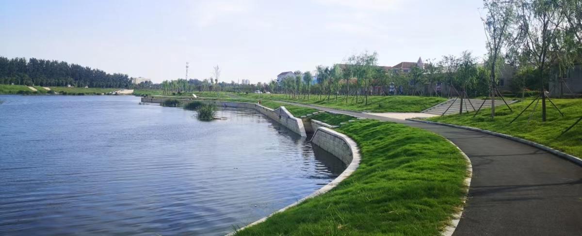 山东墨水河龙泉河综合整治工程